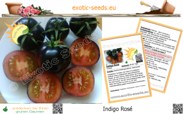Tomate * Indigo Rose * 25-1.000 Samen